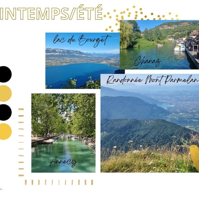 Bel appartement proche Annecy Aix-les-bains Genève - Appartement 1 Chambre - 3