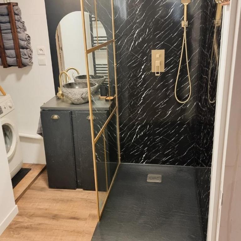 Bel appartement proche Annecy Aix-les-bains Genève - Appartement 1 Chambre - 5