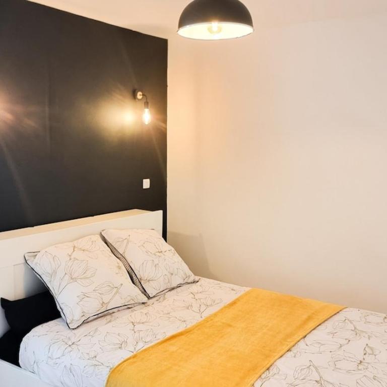 Bel appartement proche Annecy Aix-les-bains Genève - Appartement 1 Chambre - 6