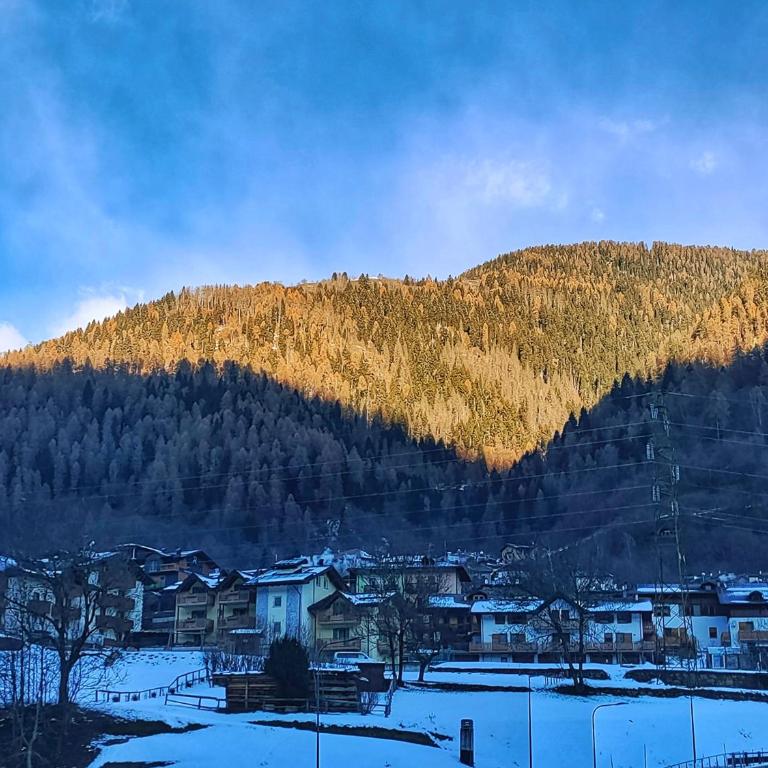 My cozy home on the mountain - Apartamento de 1 dormitorio - 22