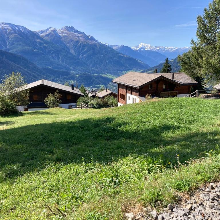 Chalet Waldesruh - Chalet - 6