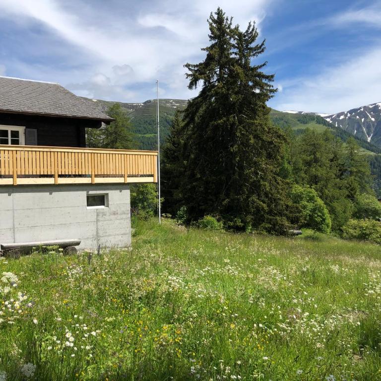 Chalet Waldesruh - Chalet - 10