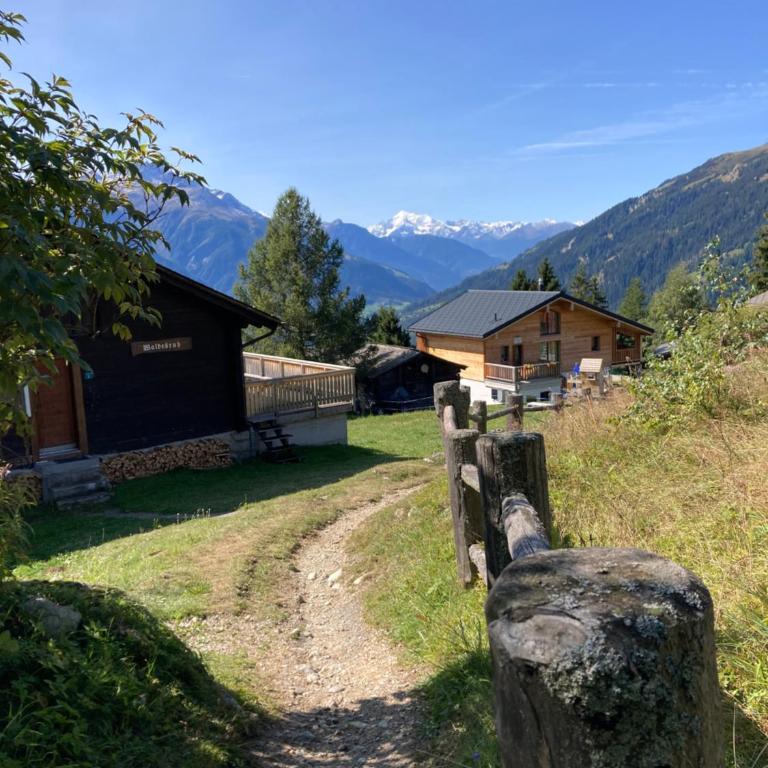 Chalet Waldesruh - Chalet - 22