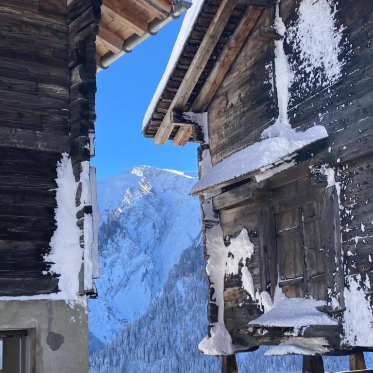 Chalet Waldesruh - Chalet - 24