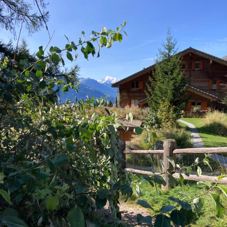 Chalet Waldesruh - Chalet - 27