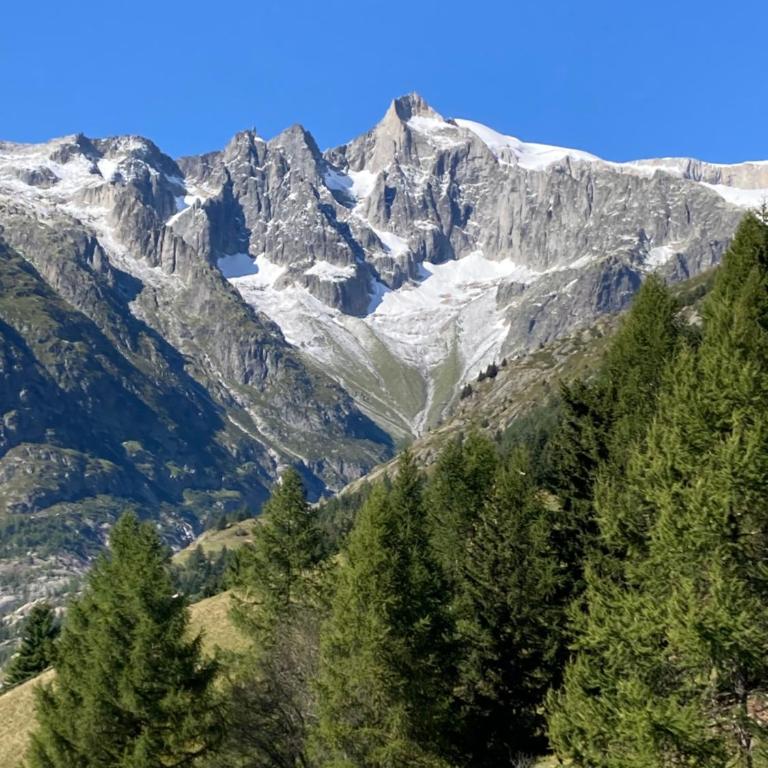 Chalet Waldesruh - Chalet - 31