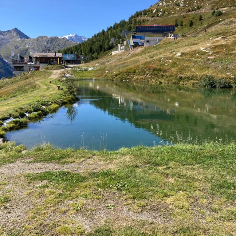 Chalet Waldesruh - Chalet - 33