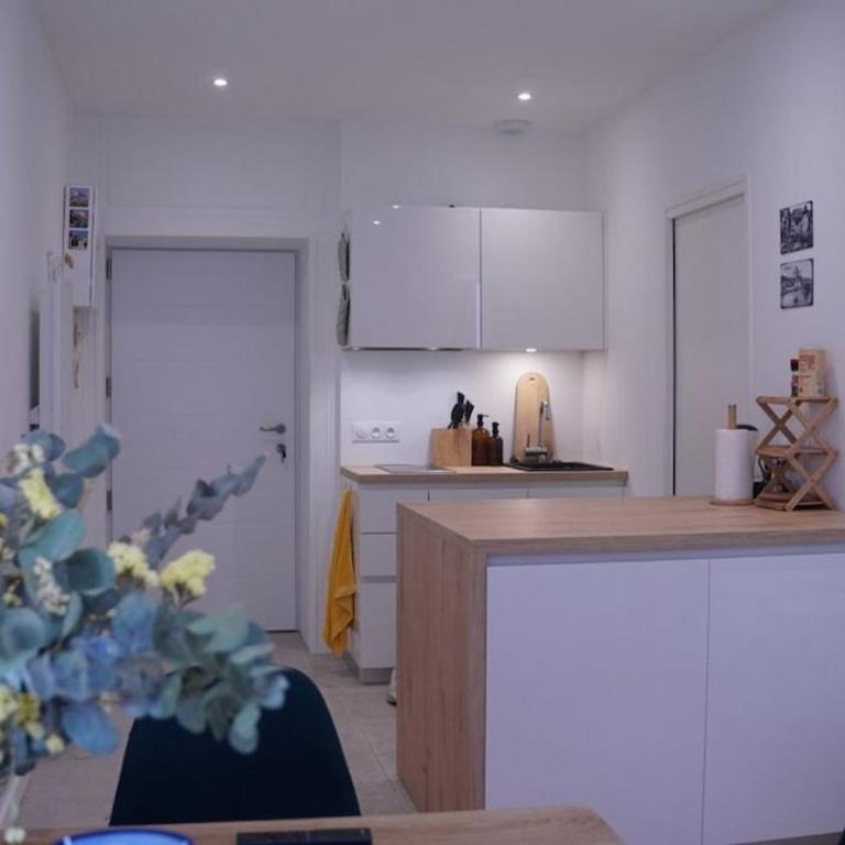 Old Town Annecy - Apartamento de 1 dormitorio - 6
