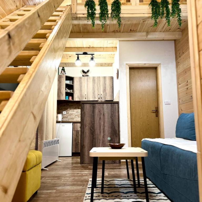 Apartmani Božana Vojinović - King Studio - 5