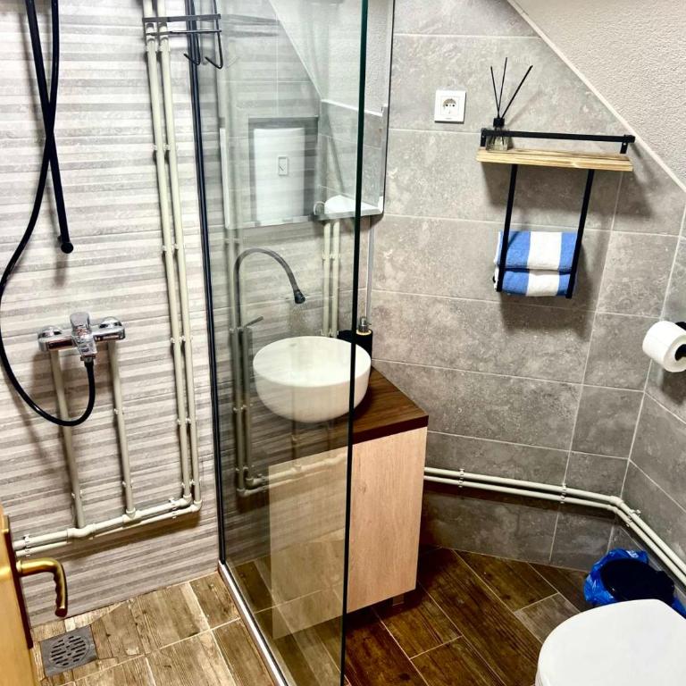 Apartmani Božana Vojinović - King Studio - 6