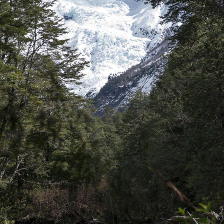 Fío Fío Patagonia - Apartamento de 2 dormitorios - 27