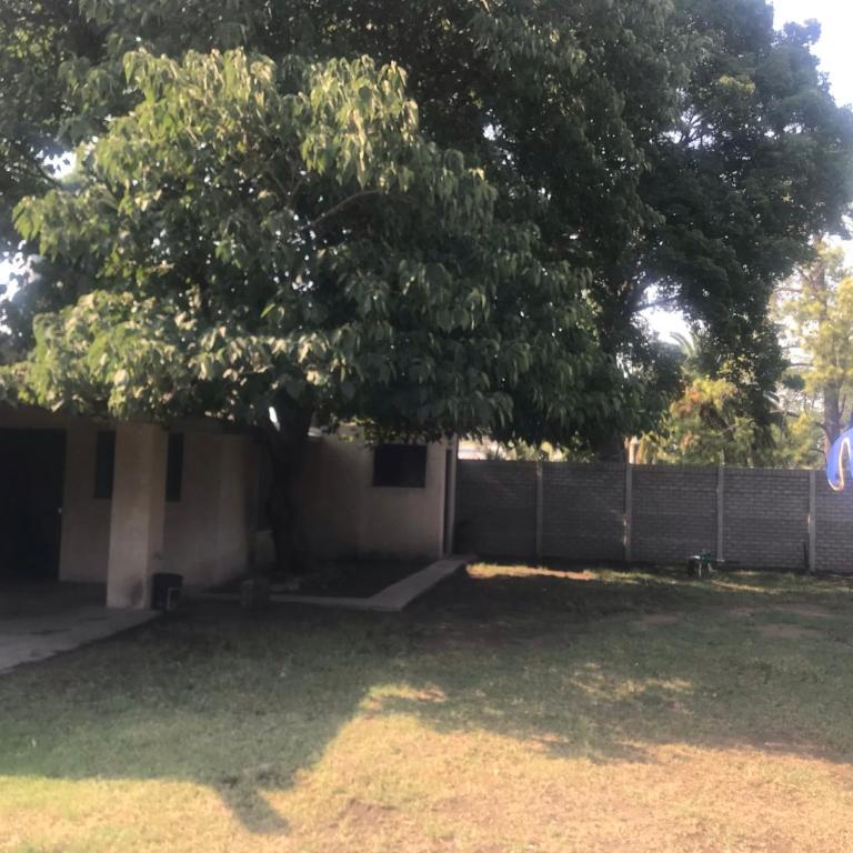 Casa rural familiar con pileta elrejunte - Casa de 3 dormitorios - 6