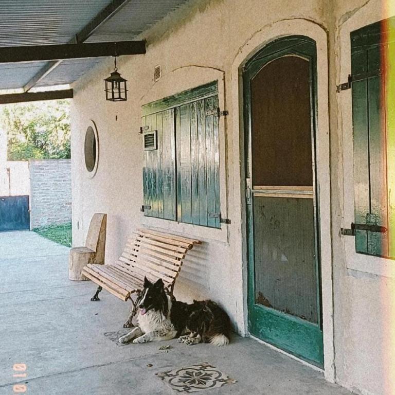 Casa rural familiar con pileta elrejunte - Casa de 3 dormitorios - 4