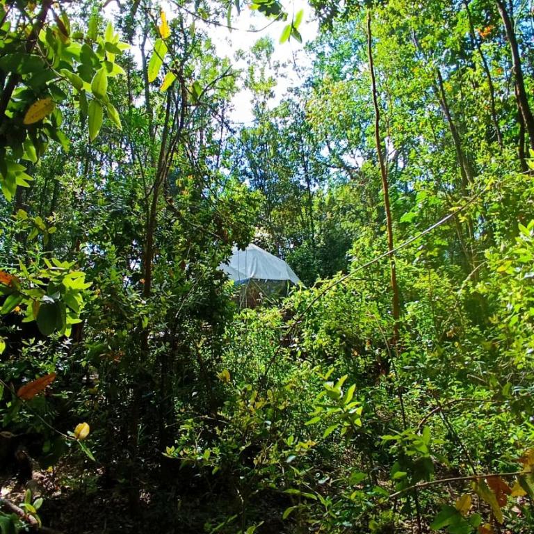 Domo el avellano inmerso en el bosque con tinaja incluida - Casa de 2 dormitorios - 34