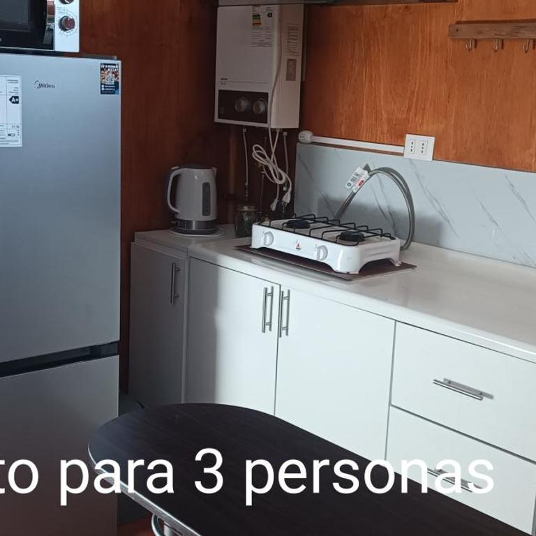 Bosque Valdiviano Apartment - Apartamento de 1 dormitorio - 3