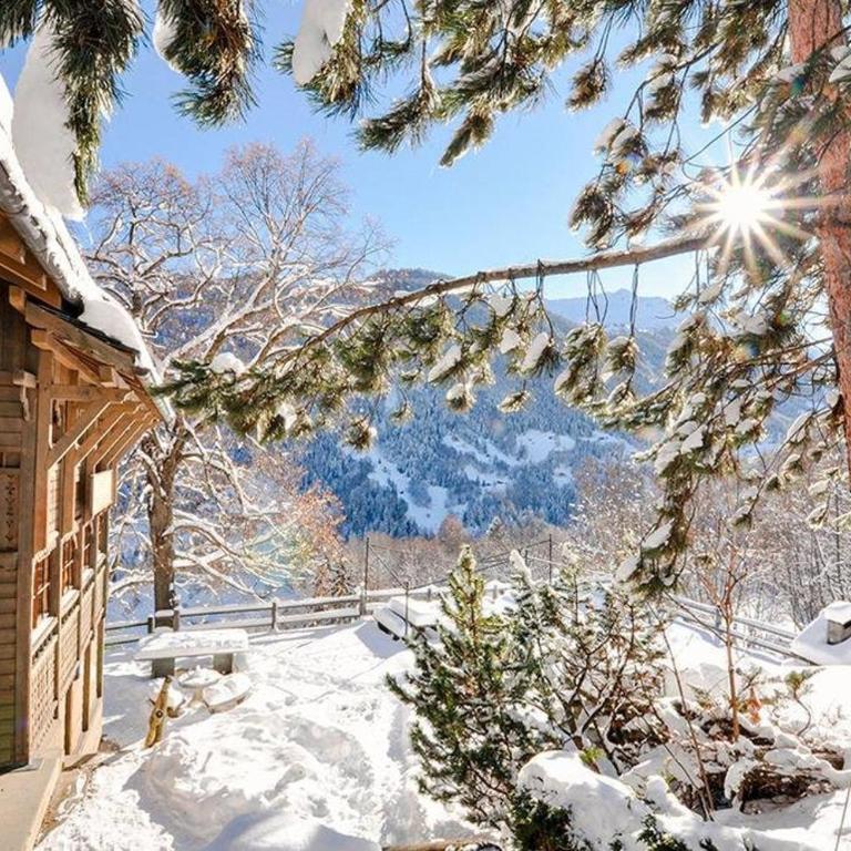 Chalet Rosablanche, since 1929 - peace, quiet & tradition - Chalet - 31