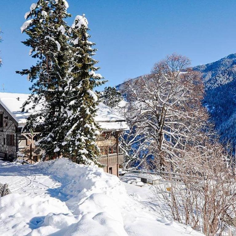 Chalet Rosablanche, since 1929 - peace, quiet & tradition - Chalet - 33