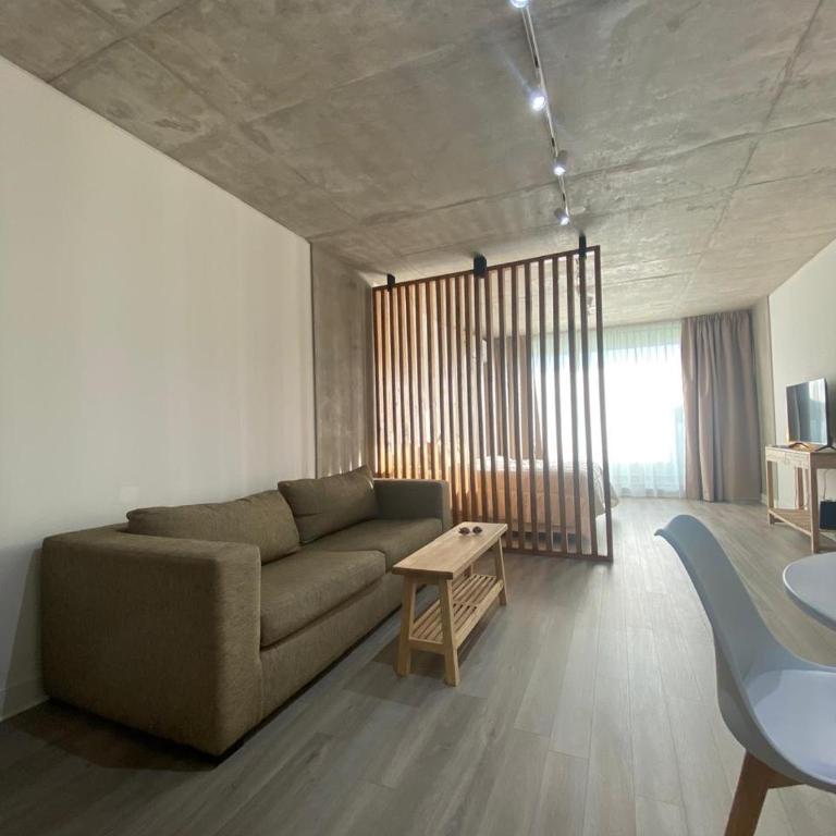 Concepcion Live - Apartamento Estudio - 1 cama doble - 4
