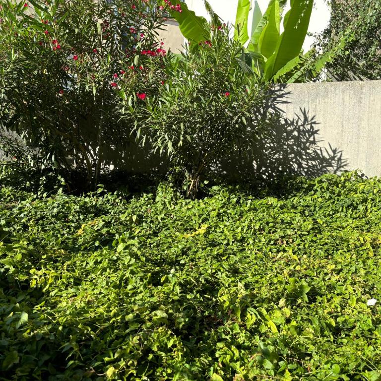 Breeze in the city - Appartement 1 Chambre - 16
