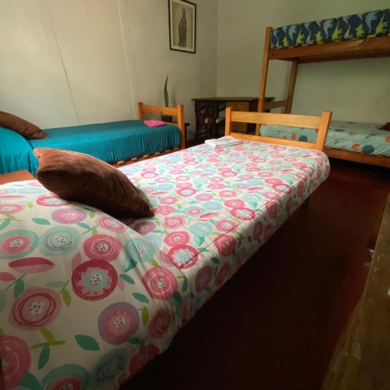 Selva Hospedaje - Habitación Cuádruple Económica con baño compartido - 2