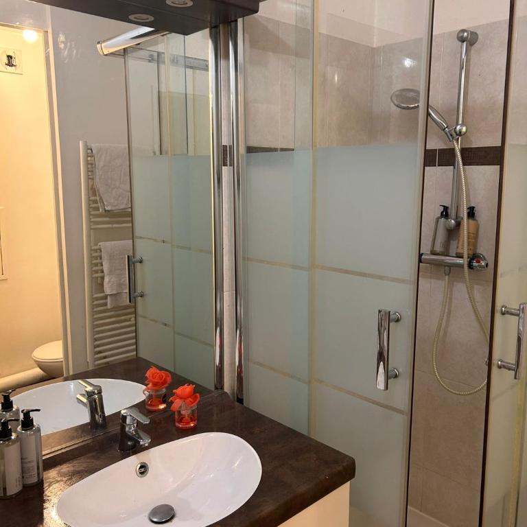 Appartement entier Saint-Denis, stade France - One-Bedroom Apartment - 4