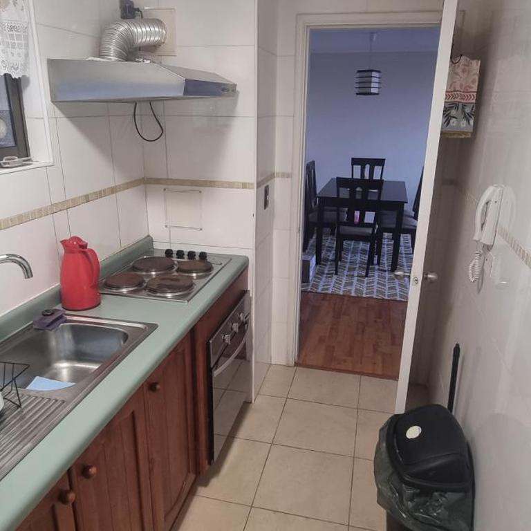 Departamento Villarrica Vista al Lago y Volcanes - Apartamento de 2 dormitorios - 16