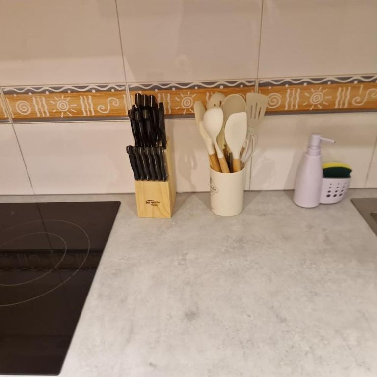 Visita Zaragoza - Apartamento de 2 dormitorios - 19