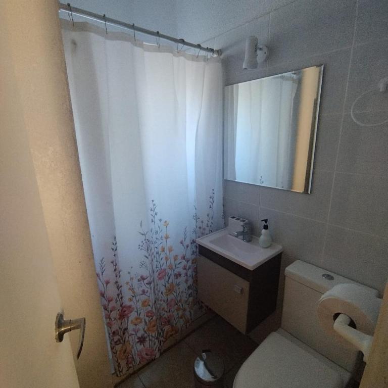 Casa central Osorno - Four-Bedroom House - 16