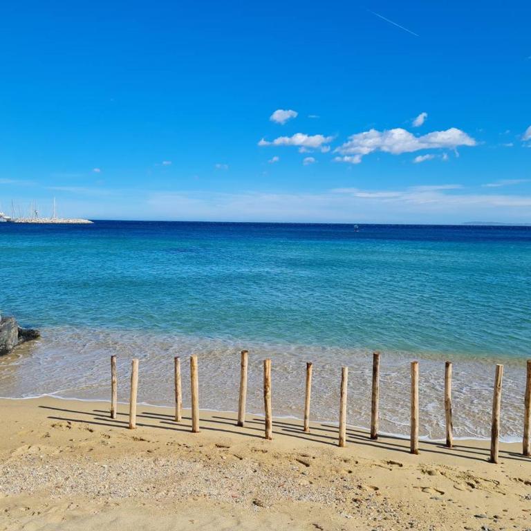 Appartement climatisé 2 pièces avec terrasse et parking au Lavandou - FR-1-251-854 - Apartamento - 15