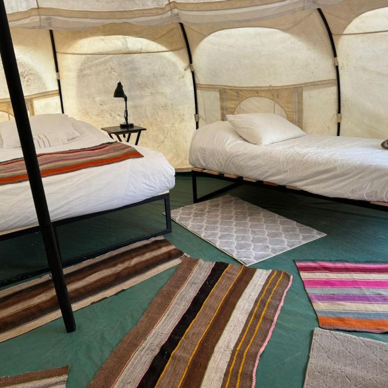 Chiloe Loft & Glamp - Tent - 6