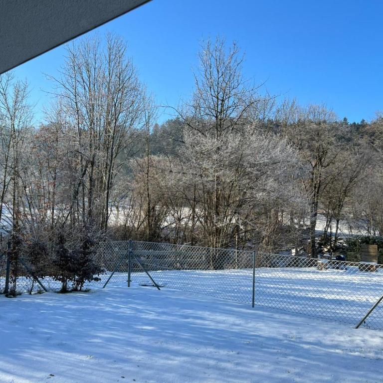 Ferien im grünen Reiterndorf - Apartment mit 1 Schlafzimmer - 1