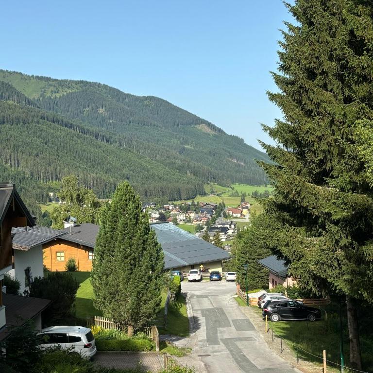 Luxury Filzmoos Chalet - Chalet mit 3 Schlafzimmern - 19