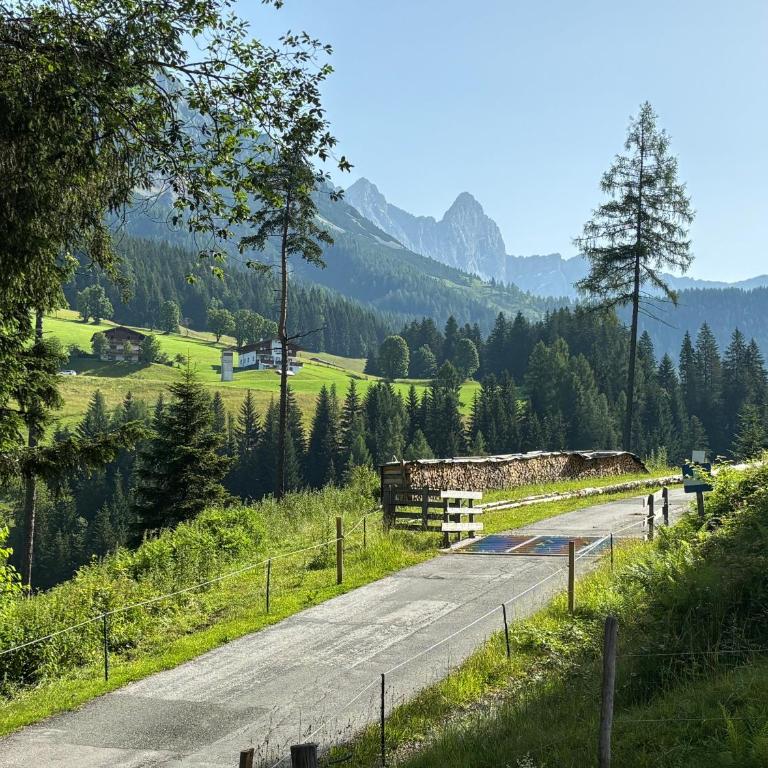 Luxury Filzmoos Chalet - Chalet mit 3 Schlafzimmern - 20