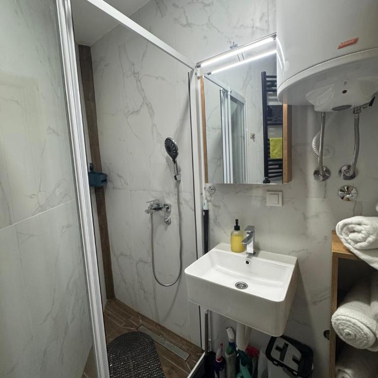 Villa Nada, Apartman Vučko, Divčibare - Apartman sa 1 Spavaćom Sobom - 16