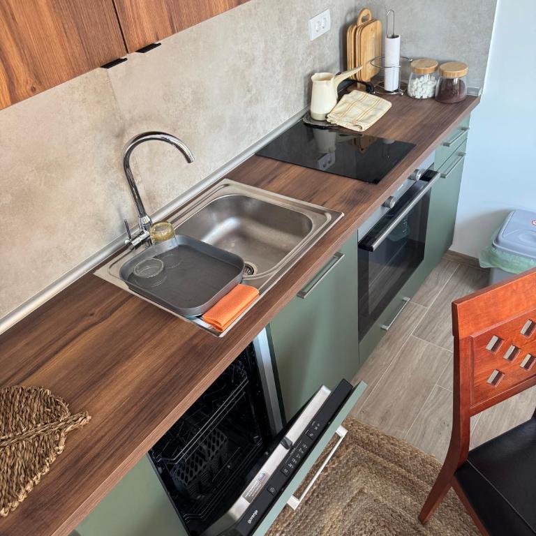 Villa Nada, Apartman Vučko, Divčibare - Apartman sa 1 Spavaćom Sobom - 12