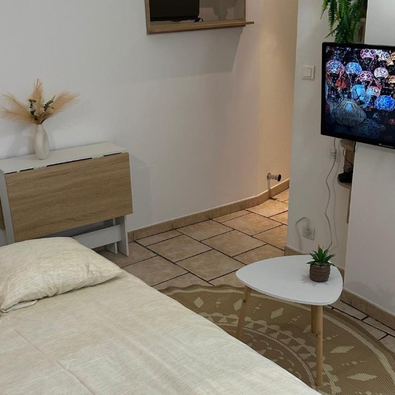 Le Cocon des Carmes - Hypercentre - One-Bedroom Apartment - 6