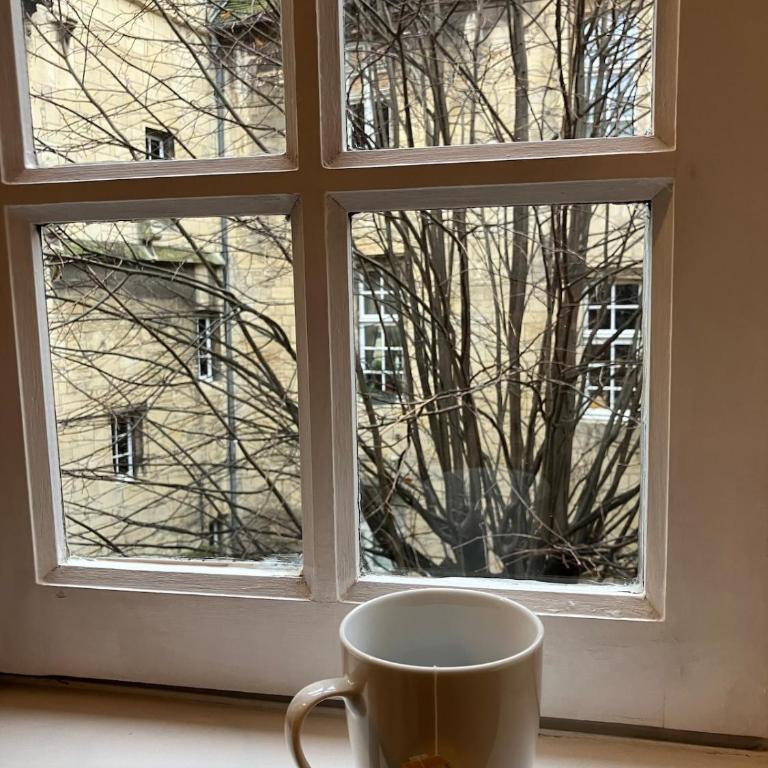 Le clos du Tilleul - charme en hyper centre - Apartamento de 1 dormitorio - 23