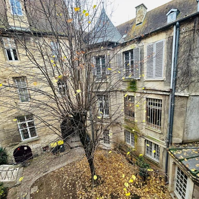 Le clos du Tilleul - charme en hyper centre - Apartamento de 1 dormitorio - 28