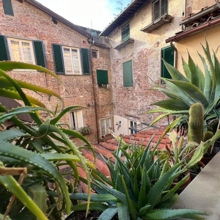 Tizzi's Home - Appartamento - 14