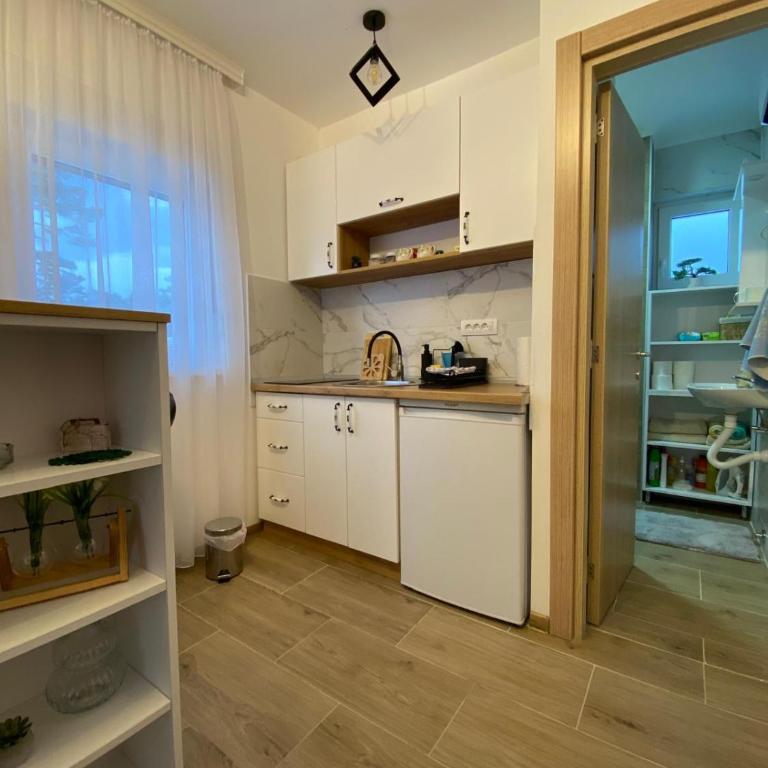 Apartman Emilija - Studio sa Balkonom - 31