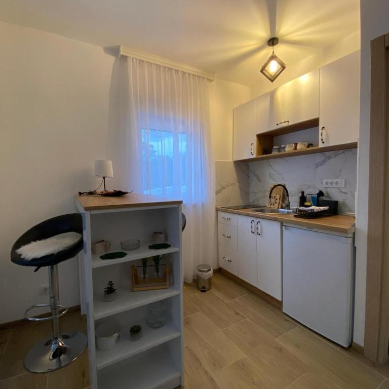 Apartman Emilija - Studio sa Balkonom - 33