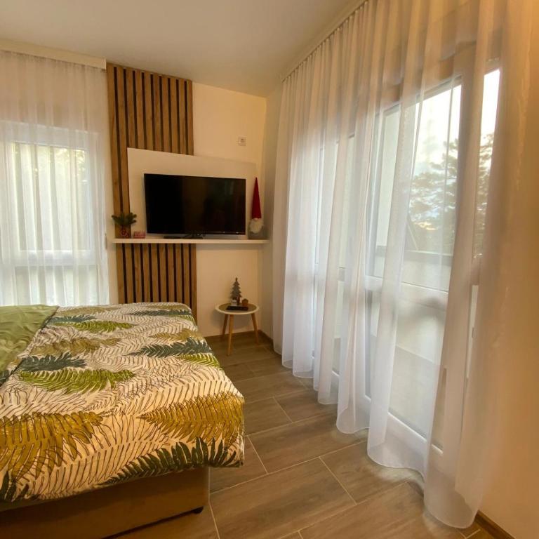 Apartman Emilija - Studio sa Balkonom - 32
