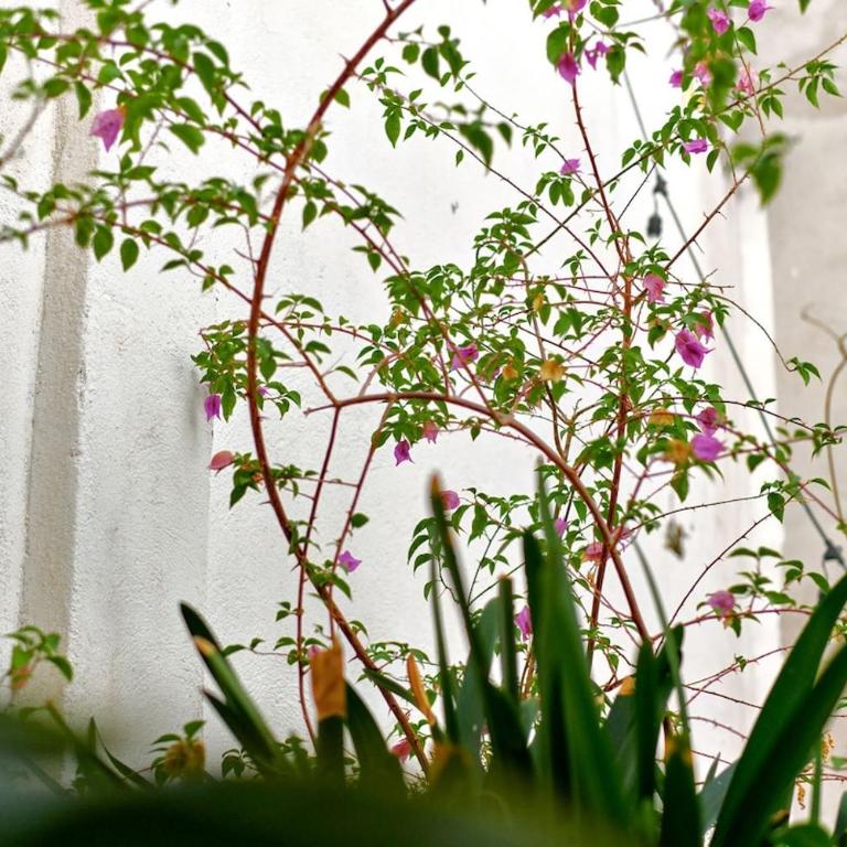 Apt Oasis LuxuryRentalsMurcia - Apartamento de 1 dormitorio - 8
