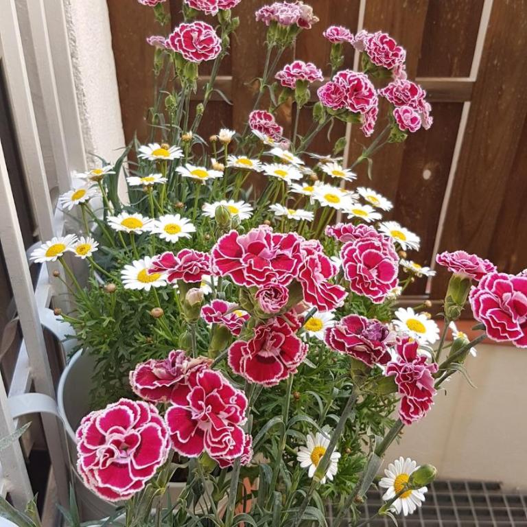 Apt Oasis LuxuryRentalsMurcia - Apartamento de 1 dormitorio - 13
