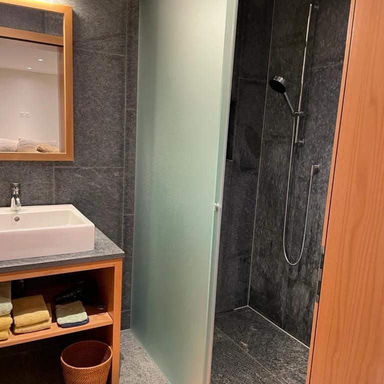 Davos Luxury Apartment - 5 Min walking to Congress Center - Deluxe Apartment - 15