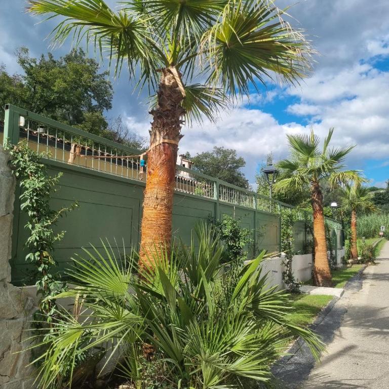 Villa Riviera - Villa - 3