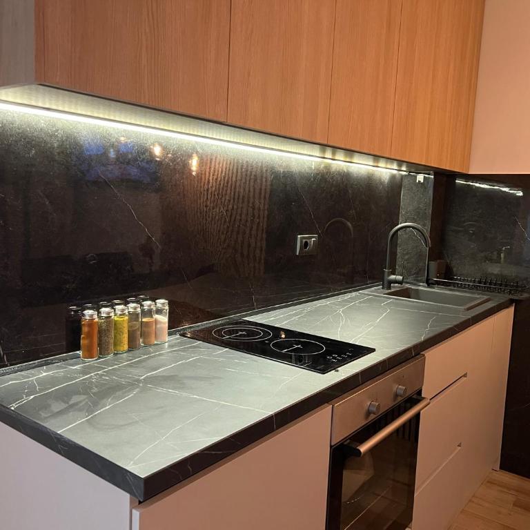 Prestige Kopaonik - Iznad Oblaka A1 - Apartman sa 1 Spavaćom Sobom - 5