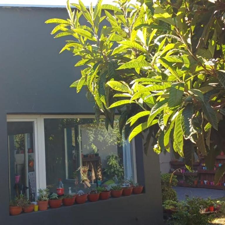 Casita de playa- para 6 personas - Casa de 3 dormitorios - 22