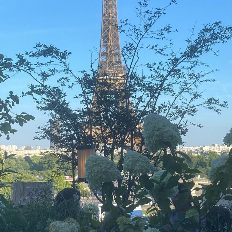 Elegant luxury private apartment by Eiffel Tower - Appartement 1 Chambre - 35