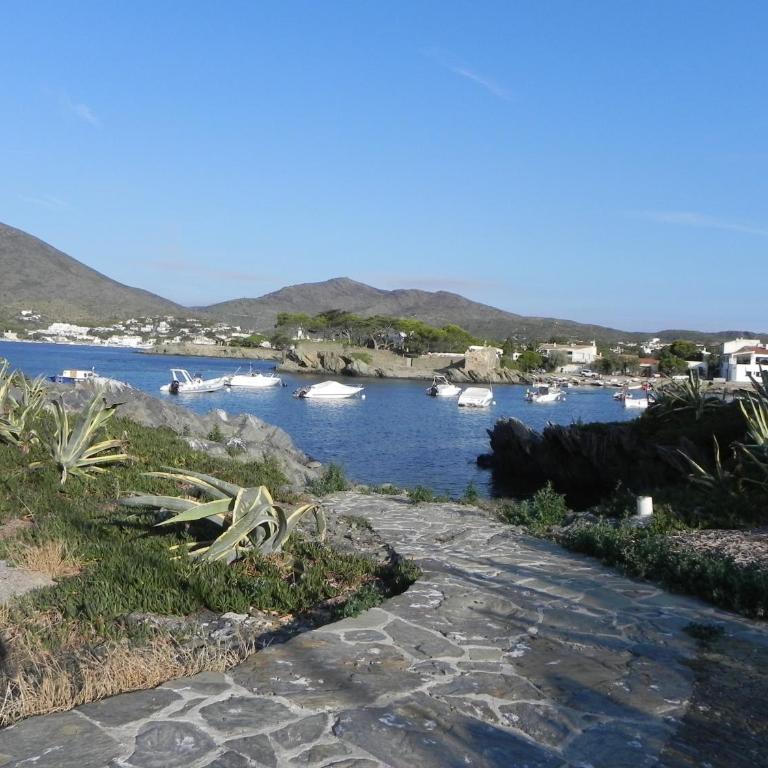 Isla Privada en Cadaqués de ensueño con 11 habitaciones dobles con baño privado y piscina - Villa - 70